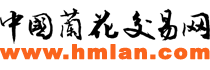 中国兰花交易网